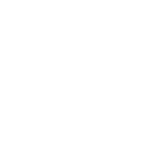 Brodax Bildmarke Watermark